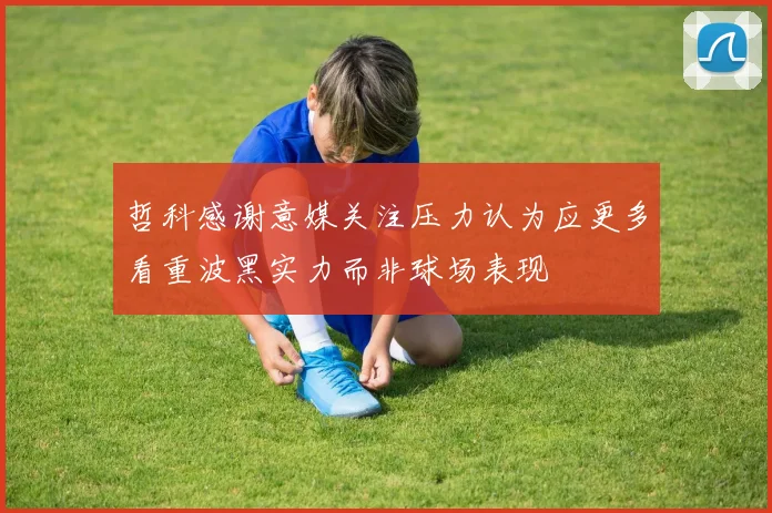 哲科感谢意媒关注压力认为应更多看重波黑实力而非球场表现