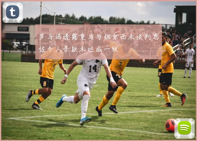 罗马诺透露皇马与切尔西未谈判恩佐个人条款未达成一致
